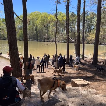 Whitewater Off Leash